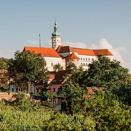 Rezavy Mikulov