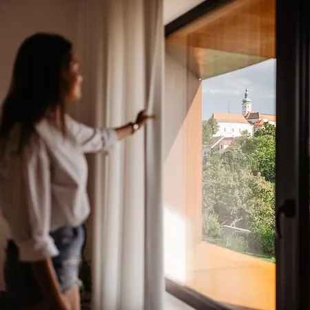 Apartman Rezavy Mikulov