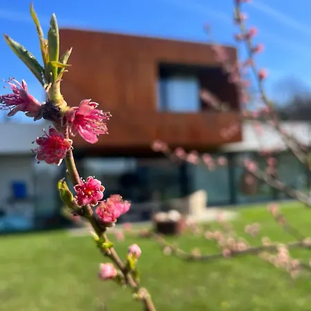 Apartmán Rezavy