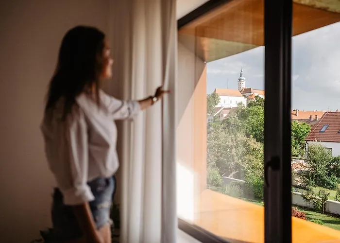 アパート Rezavy ミクロフ